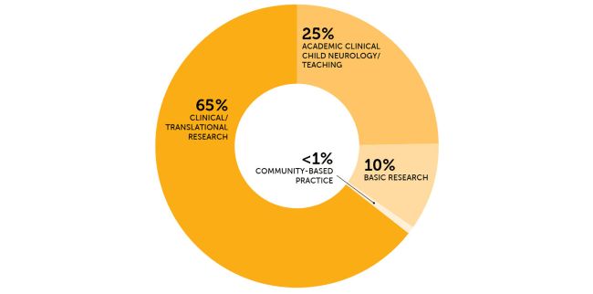 Pie graph showing the breakdown of career options for neurology residents