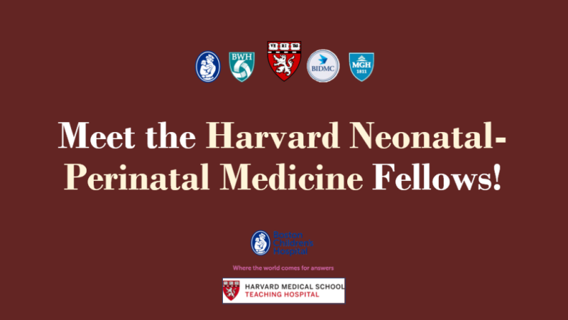 Meet the Harvard Neonatal-Perinatal Medicine Fellows!